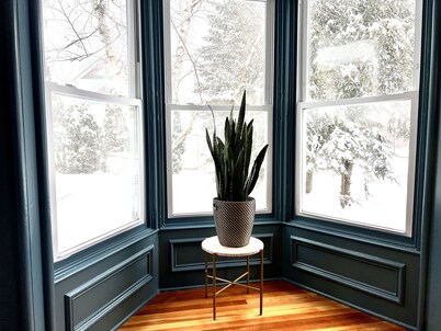 ✧ Bright East Side 4BR ✧ Walk Downtown & Track ✧