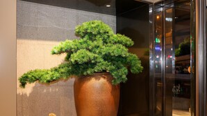 Een grote, bruine keramieken vaas met een groen, conisch vormig plantbeeld.