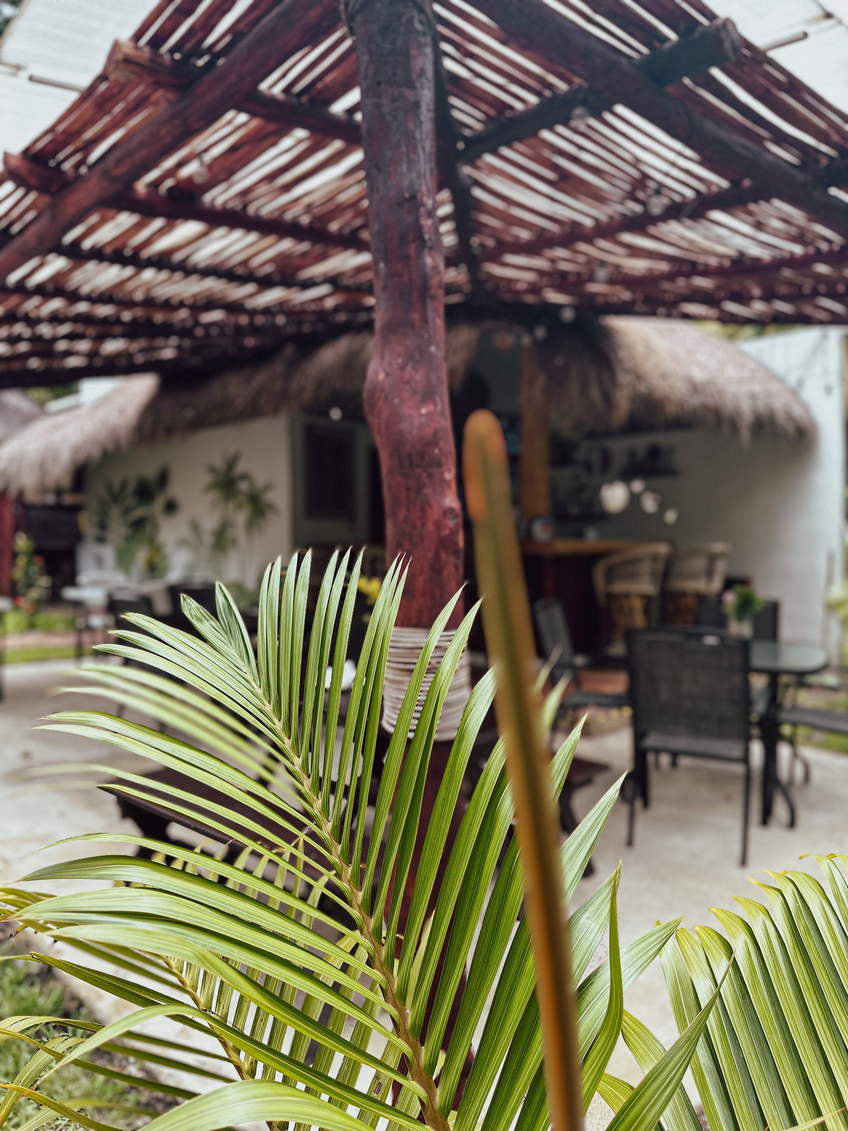 A thatched-roof structure with a dining area visible in the background.