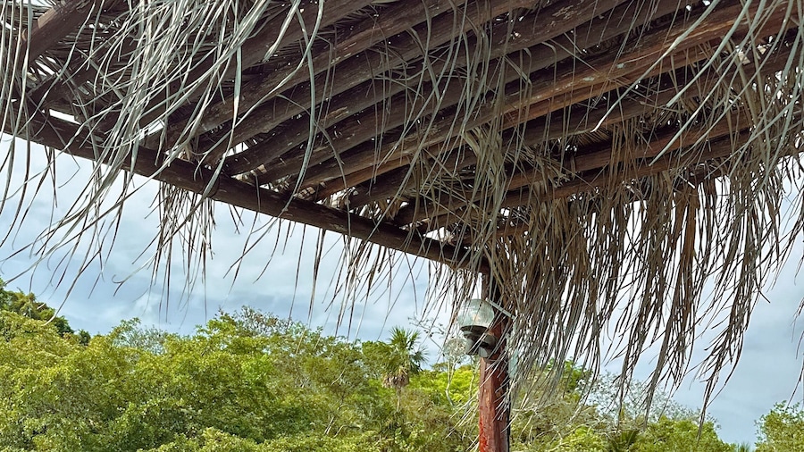 Hotel Boutique Aurea