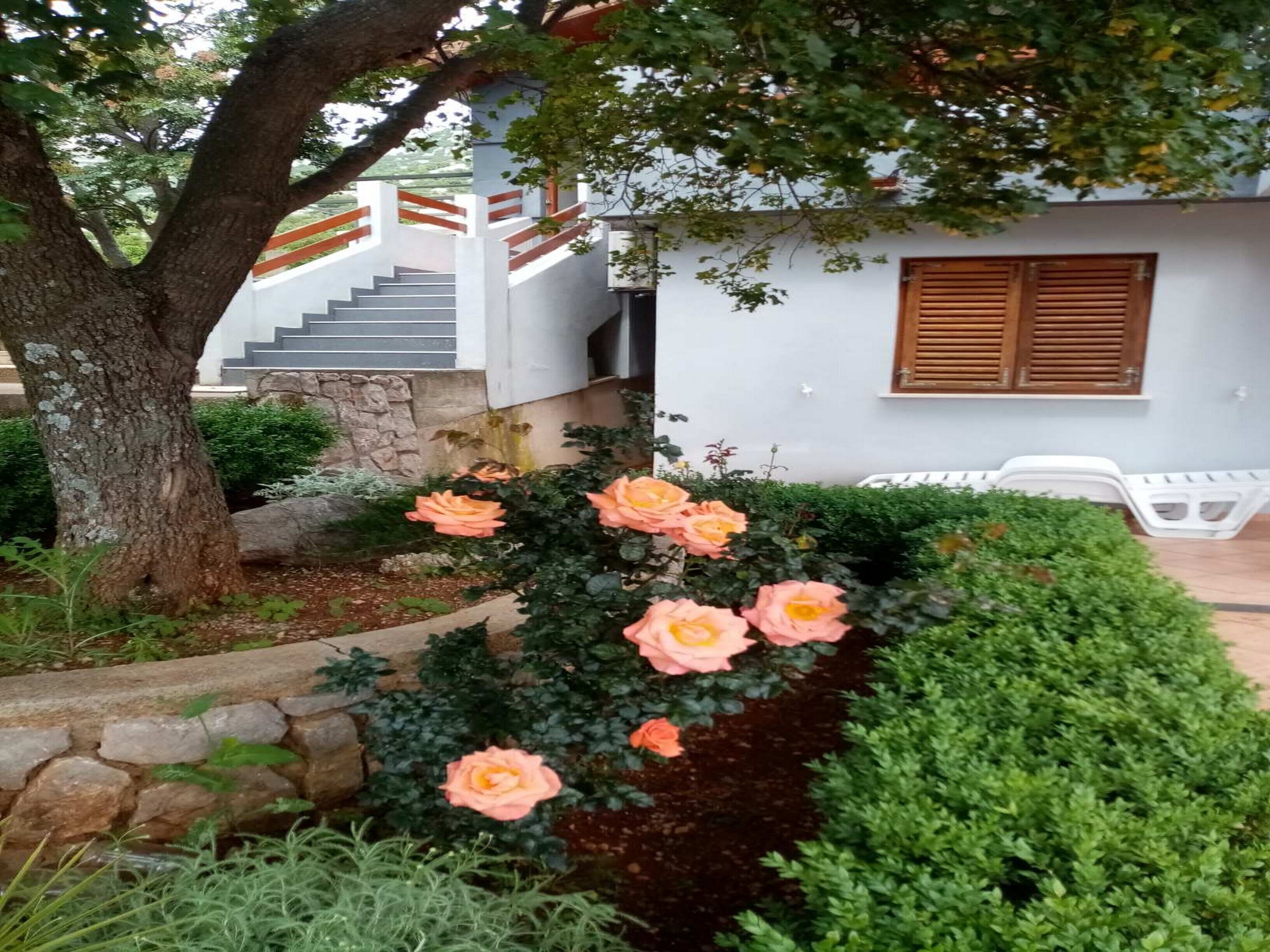 A house with a stone staircase leading to a white door, surrounded by a garden with peach-colored roses and green shrubs.