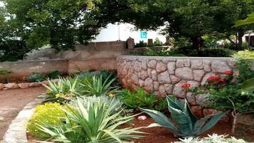 A landscaped garden with various plants and a stone wall.