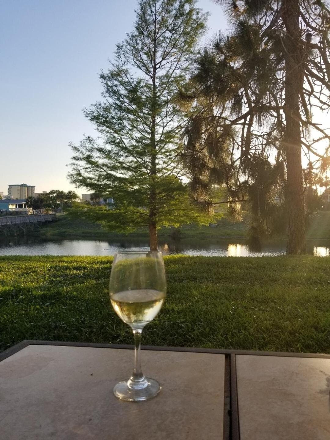 🌻 Flip Flop Inn 🩴DOWNSTAIRS! NO STEPS🦩 Gulf Terrace115, 🏖️