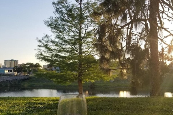 施設からの眺望