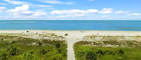 Playa en los alrededores