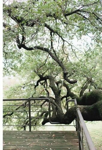 Green Broke Inn: Lower Unit