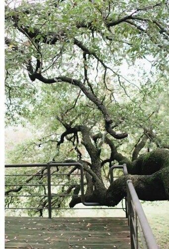 Green Broke Inn: Upper Unit