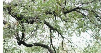 Green Broke Inn: Upper Unit