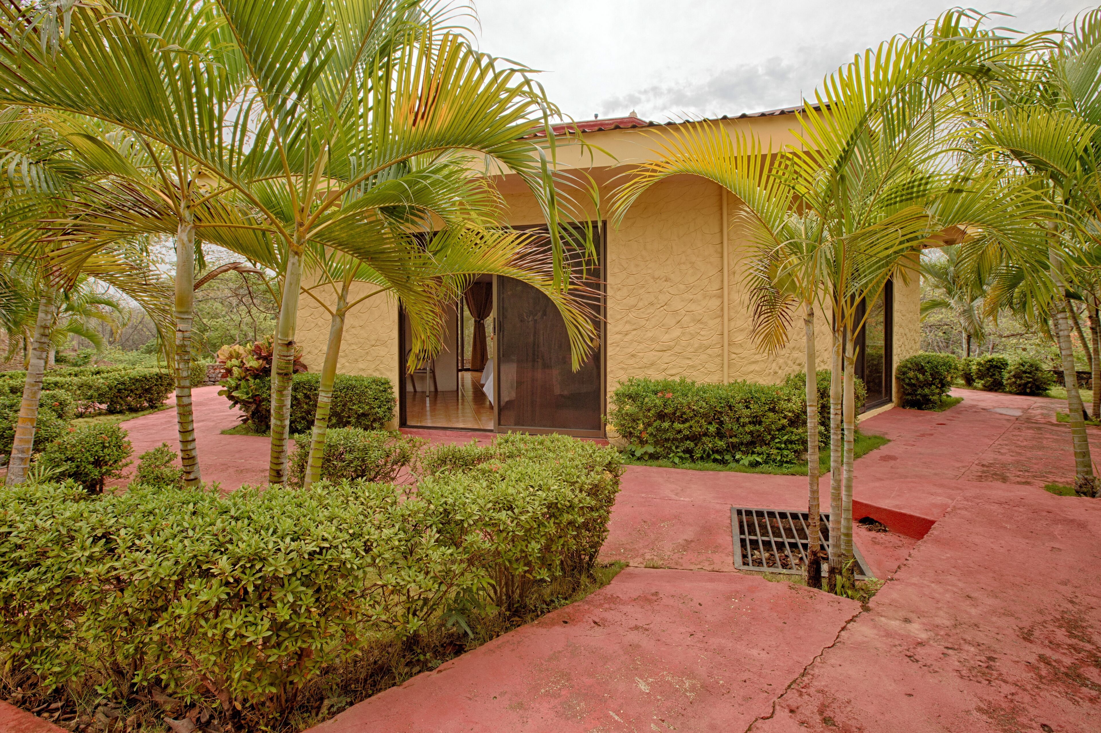 Wi-Fi de cortesia, roupa de cama