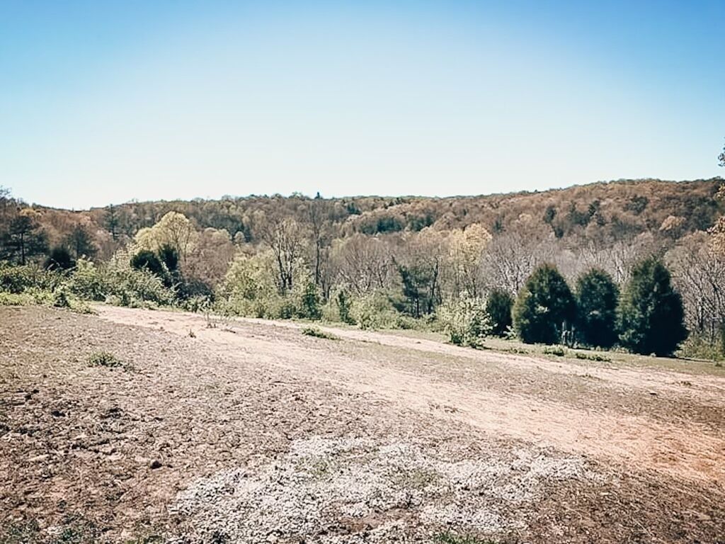 A dry, open field with sparse vegetation and a distant forested hill.