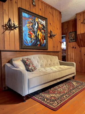 Smart TV, fireplace, DVD player, video library