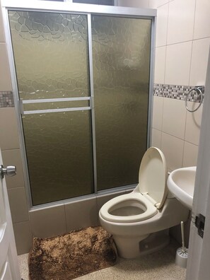 Shower, hair dryer