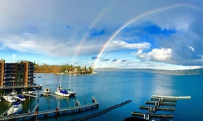 A marina with boats docked, a rainbow, and a distant shoreline with buildings.