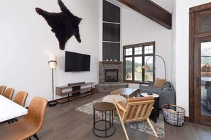 Télévision, cheminée, espaces bureaux