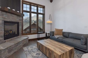 Télévision, cheminée, espaces bureaux