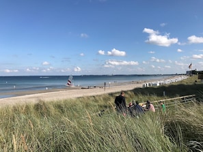 Ein Strand mit einem Segelboot, entspannten Personen und einer Rasenfläche mit einem Zaun.