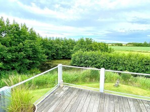 Hus (Große Lachmöwe) | Exteriör
