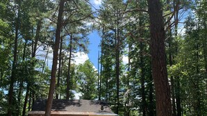 A cabin in a forest with a gravel driveway and a welcome sign. - The Cozy Cottage (Toccoa)