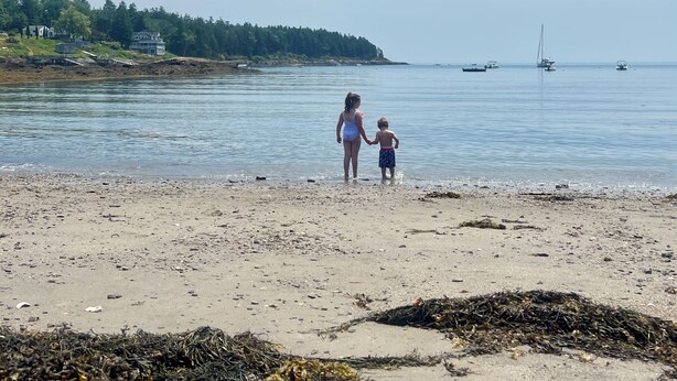 A beach with a sandy shore, a calm sea, and a few boats in the distance.