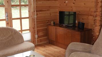 Televisión, chimenea y estéreo
