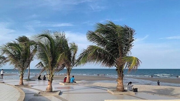 A beach with palm trees and a paved walkway.