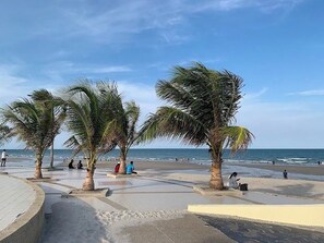 Une plage bordée de palmiers et dotée d’une promenade dallée.