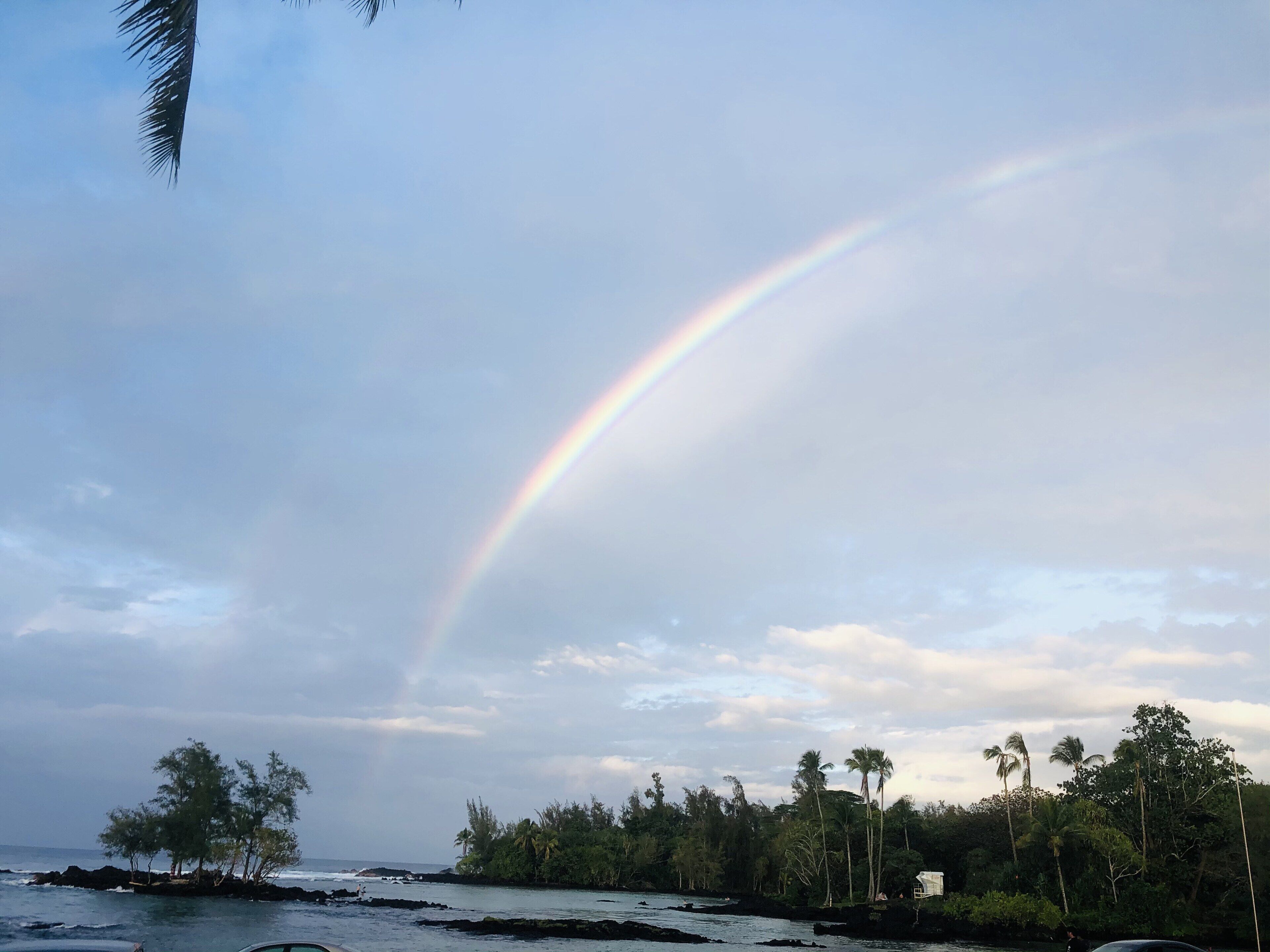 A beach with a rainbow, palm trees, and a rocky shoreline.