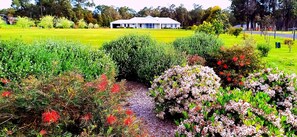Property grounds - Rural luxury, Margaret River (Witchcliffe)