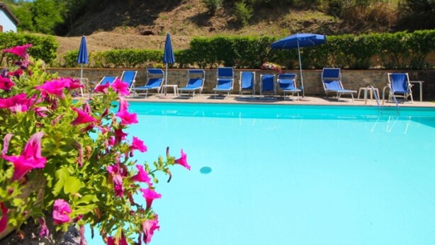A swimming pool with blue lounge chairs and umbrellas, surrounded by greenery and a stone wall. - Villa composed of 3 apartaments. Private pool (Castelfranco Piandisco)