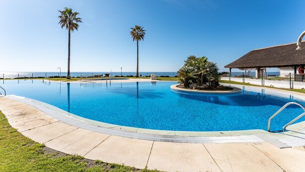 Uma piscina azul cristalina com uma palmeira, uma estrutura com telhado de palha e vista para o oceano.