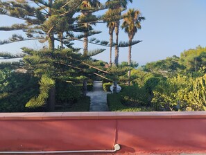 المنطقة المحيطة بالمنشأة