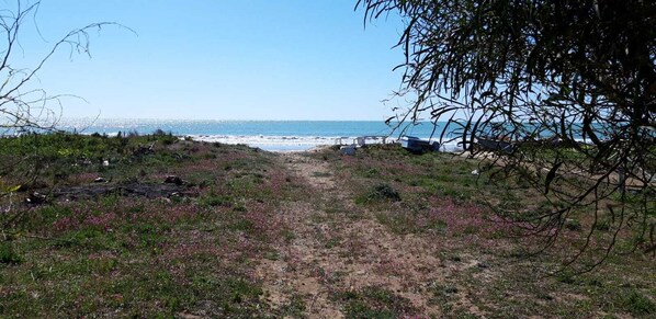 بالقرب من الشاطئ