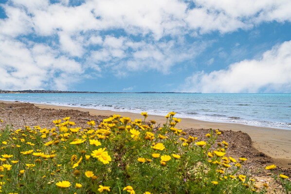 Beach nearby