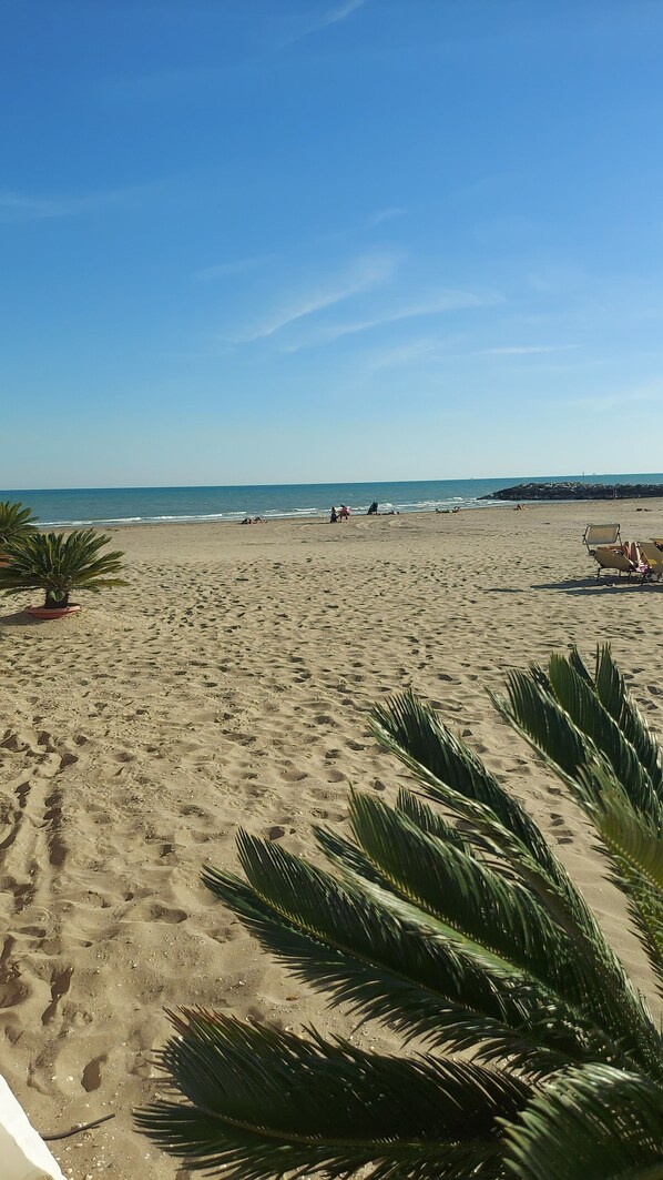 Una spiaggia nelle vicinanze, lettini da mare