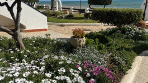 Un jardín ajardinado con diversas flores, una palmera y vista al mar.