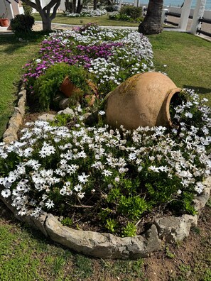 Área da propriedade