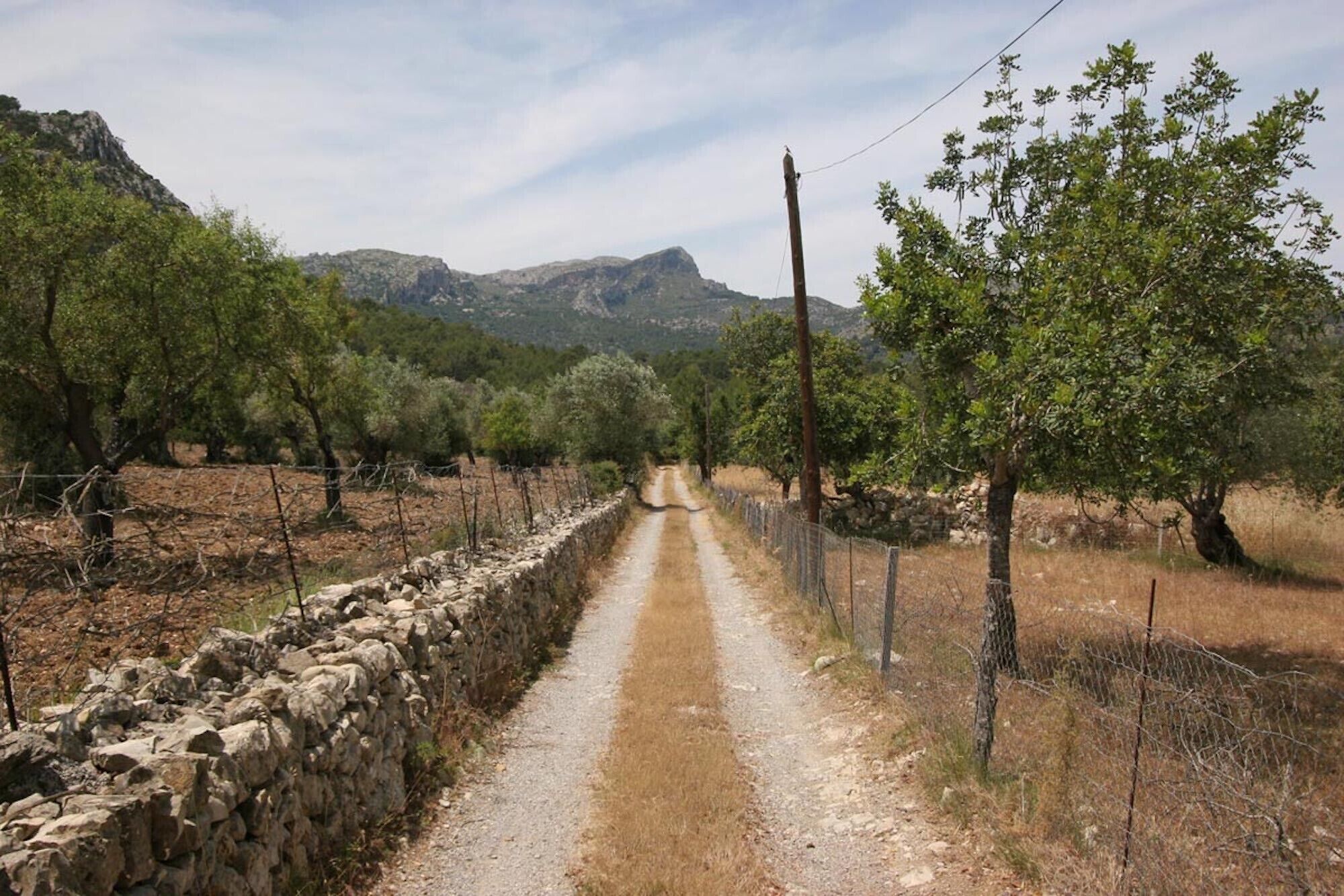 A rural dirt road flanked by stone walls and trees, leading towards distant mountains.