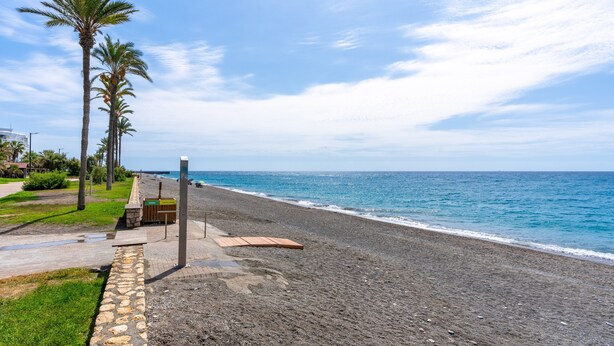 Una playa con un camino de piedra, palmeras y un banco de madera.