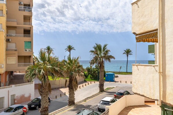 A coastal street with parked cars, palm trees, and a view of the sea.