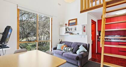 Shamrock 8 - Mt Hotham
