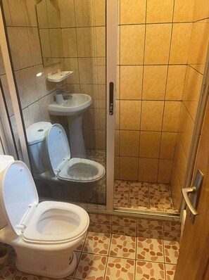 Shower, bidet, towels, soap
