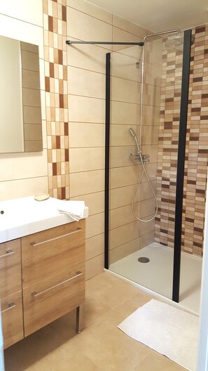 Shower, hair dryer - Gîte 12 persons (digny)