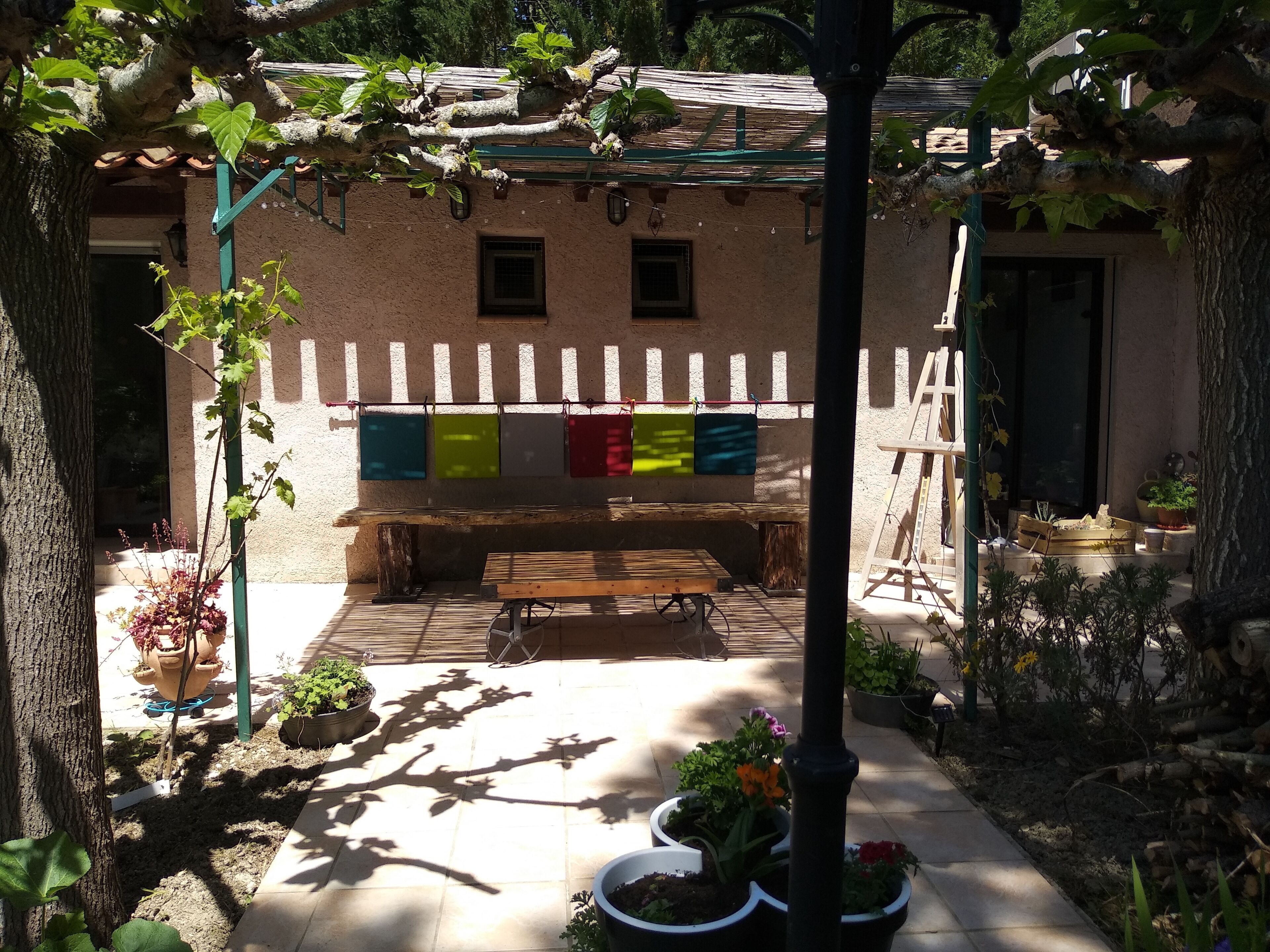 A courtyard with a wooden bench, potted plants, and a pergola.