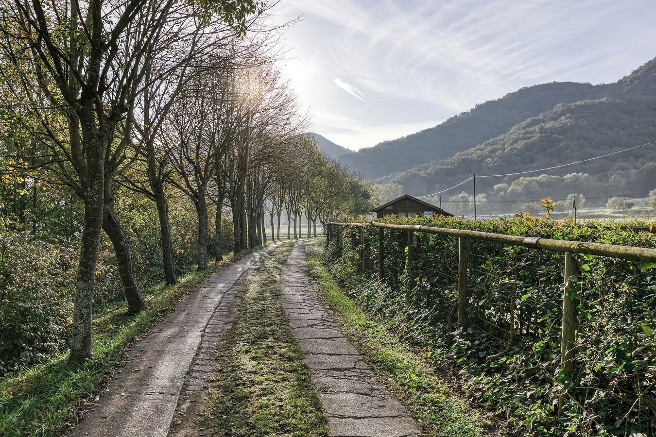 Un camino rural bordeado por árboles y una cerca, que lleva a un edificio pequeño a lo lejos.