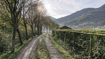 Un camino rural bordeado por árboles y una cerca, que lleva a un edificio pequeño a lo lejos.