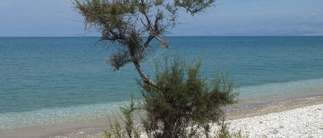 På stranden
