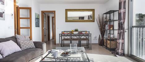 电视、DVD 播放器