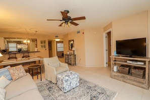 电视、DVD 播放器、书