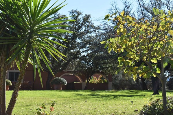 Un jardín bien cuidado con diversas especies de árboles y arbustos, cielo despejado y un edificio con arcos al fondo.