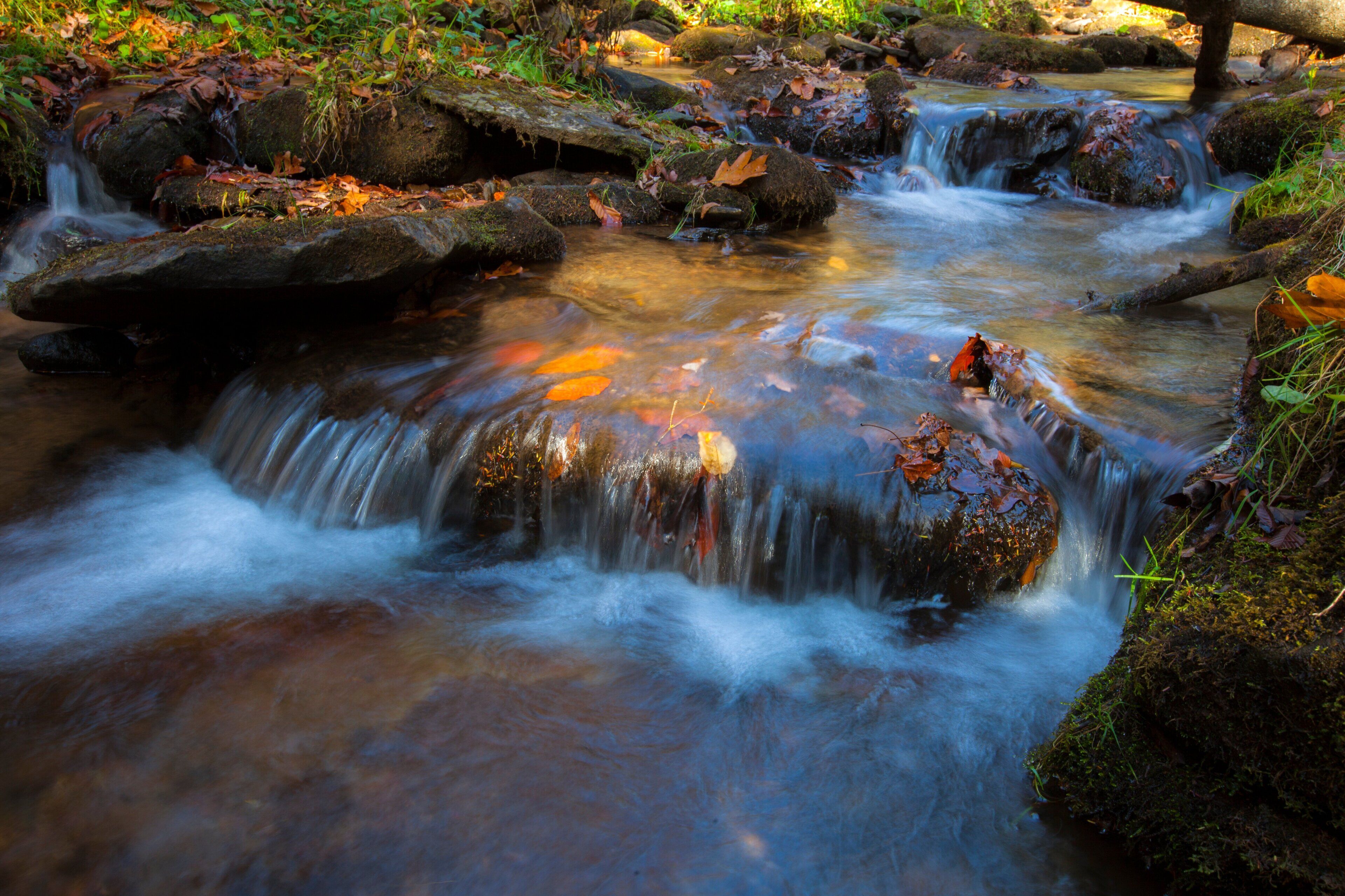 وسائل الراحة في المنشأة